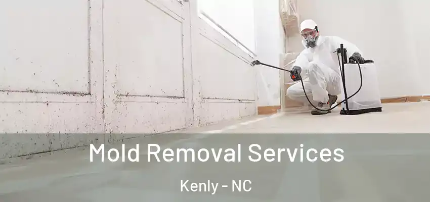  Mold Removal Services Kenly - NC