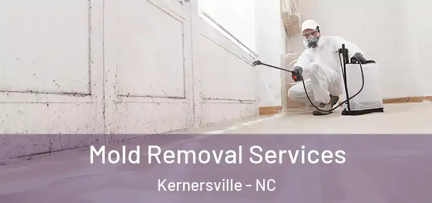 Mold Removal Services Kernersville - NC