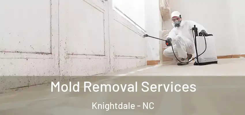 Mold Removal Services Knightdale - NC