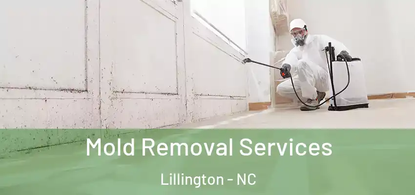  Mold Removal Services Lillington - NC