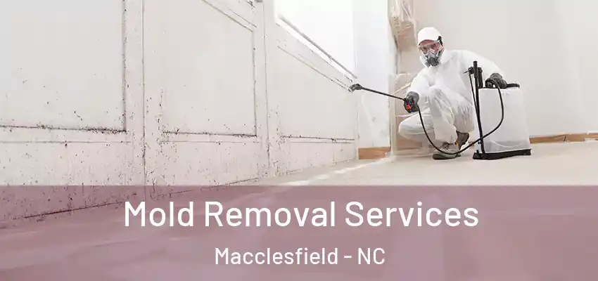 Mold Removal Services Macclesfield - NC