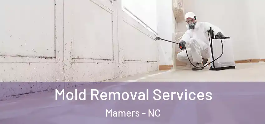  Mold Removal Services Mamers - NC