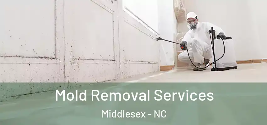 Mold Removal Services Middlesex - NC