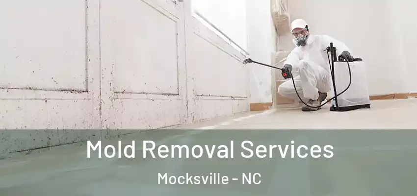  Mold Removal Services Mocksville - NC