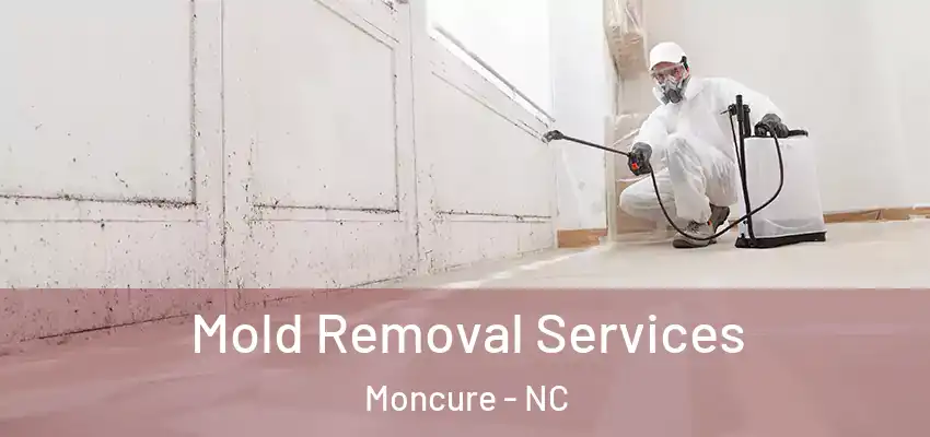  Mold Removal Services Moncure - NC