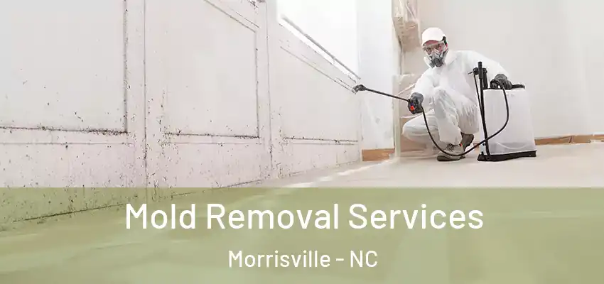  Mold Removal Services Morrisville - NC