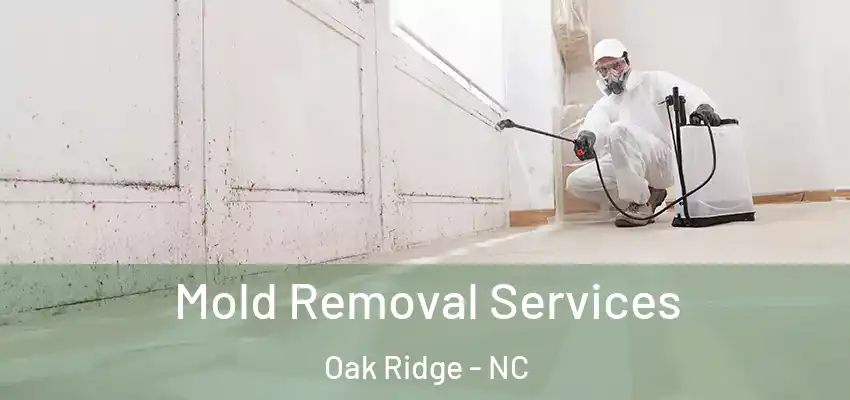  Mold Removal Services Oak Ridge - NC