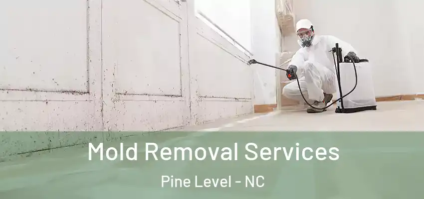  Mold Removal Services Pine Level - NC