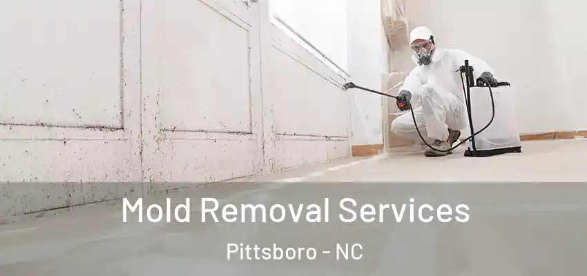  Mold Removal Services Pittsboro - NC