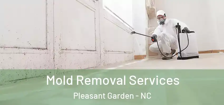 Mold Removal Services Pleasant Garden - NC