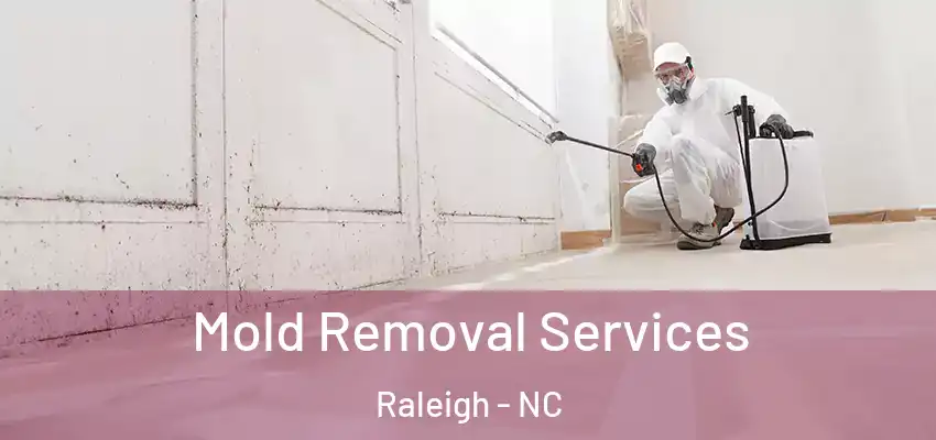 Mold Removal Services Raleigh - NC