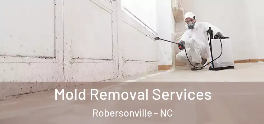Mold Removal Services Robersonville - NC
