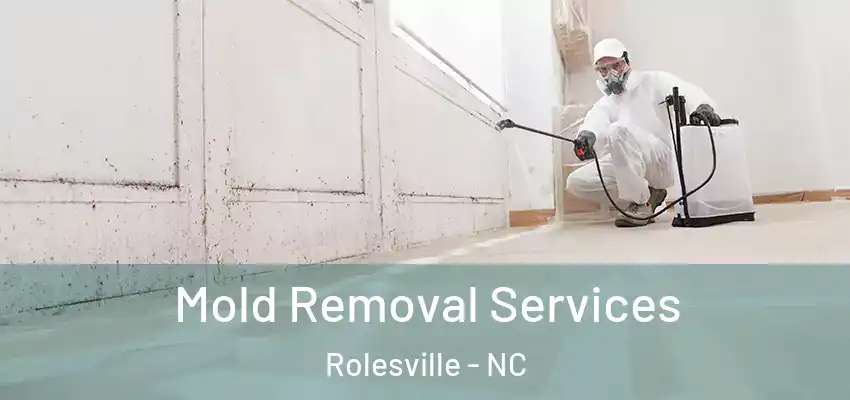  Mold Removal Services Rolesville - NC