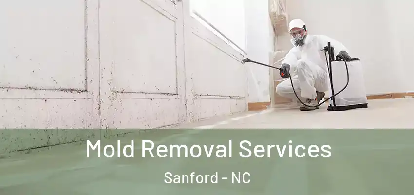  Mold Removal Services Sanford - NC