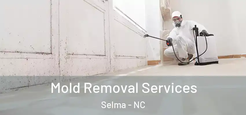 Mold Removal Services Selma - NC