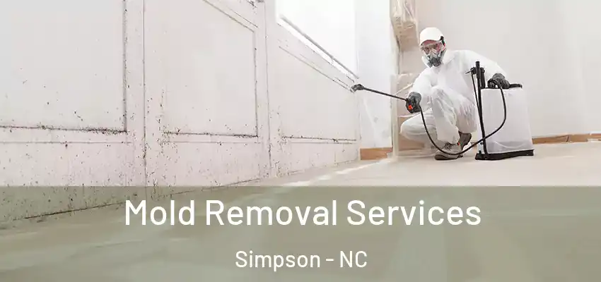  Mold Removal Services Simpson - NC