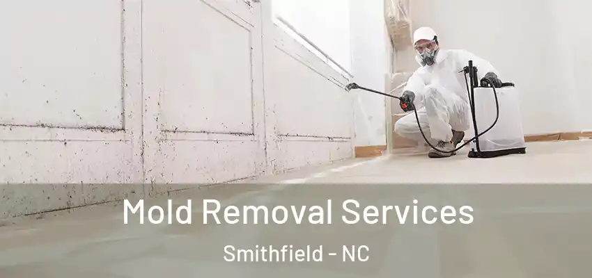 Mold Removal Services Smithfield - NC