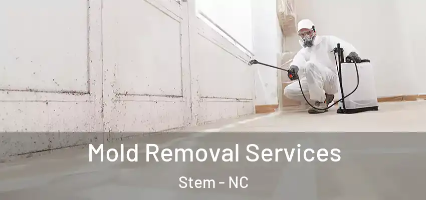  Mold Removal Services Stem - NC