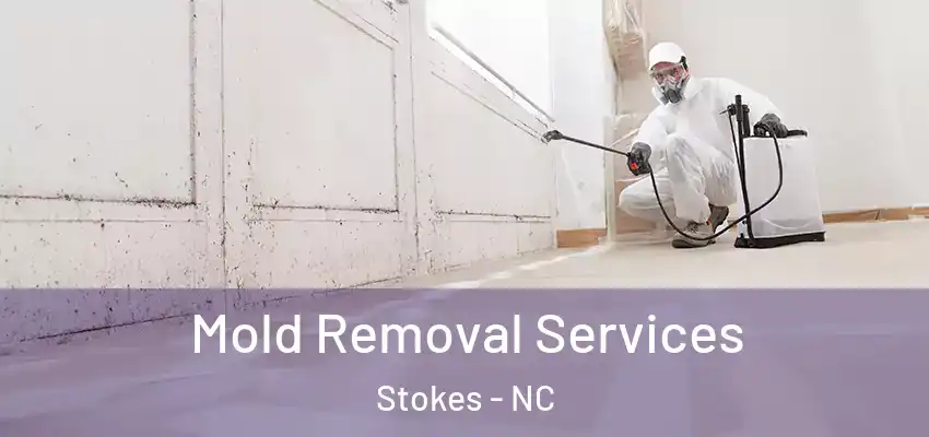  Mold Removal Services Stokes - NC