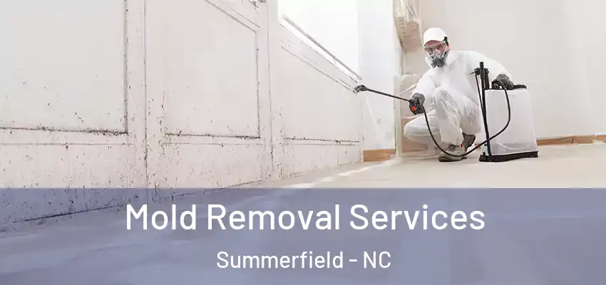 Mold Removal Services Summerfield - NC