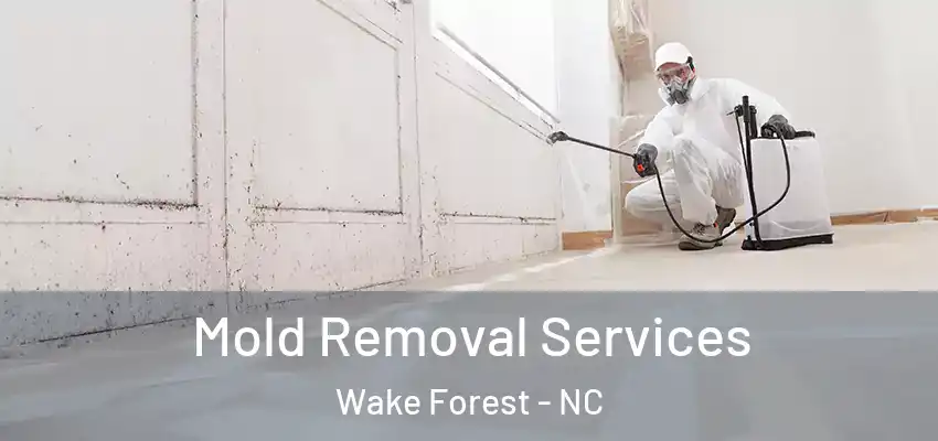  Mold Removal Services Wake Forest - NC