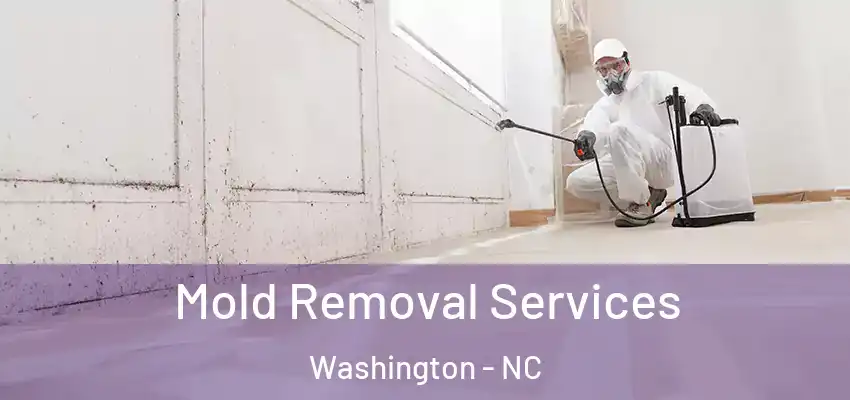 Mold Removal Services Washington - NC