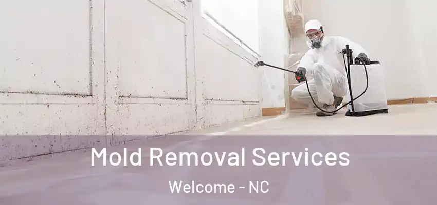  Mold Removal Services Welcome - NC