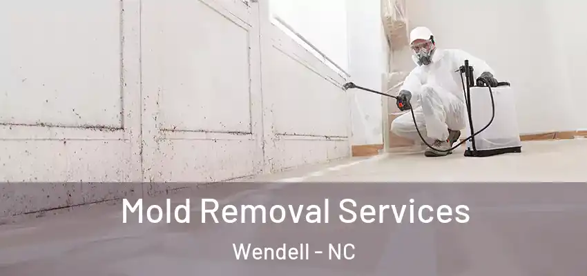 Mold Removal Services Wendell - NC