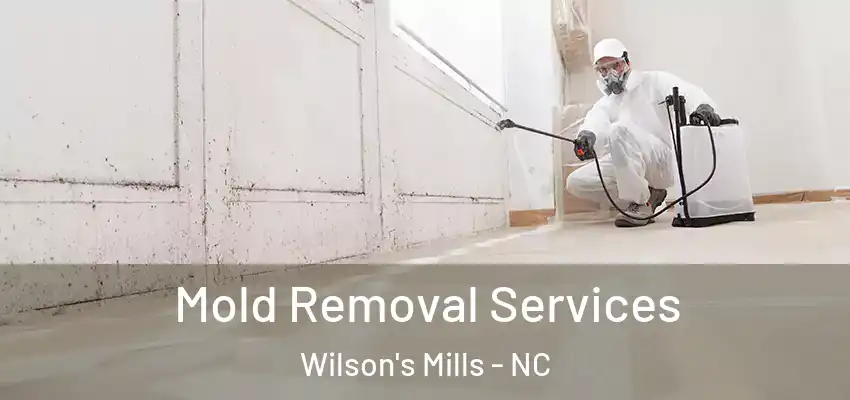  Mold Removal Services Wilson's Mills - NC