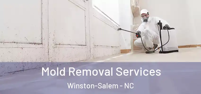  Mold Removal Services Winston-Salem - NC
