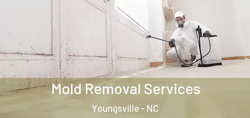 Mold Removal Services Youngsville - NC