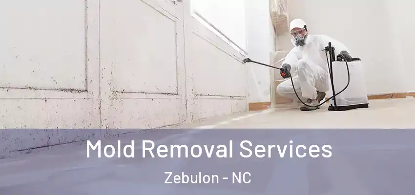 Mold Removal Services Zebulon - NC