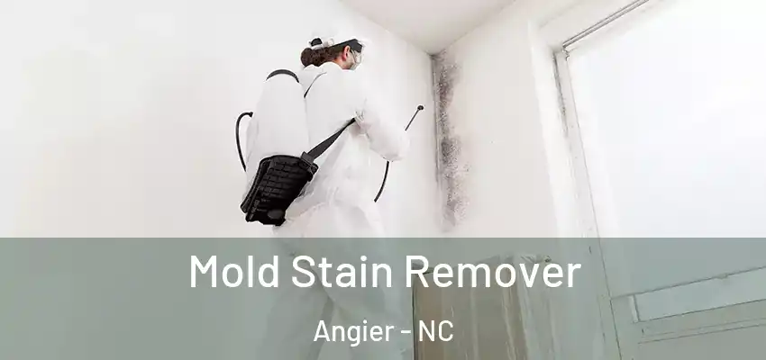  Mold Stain Remover Angier - NC