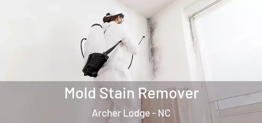 Mold Stain Remover Archer Lodge - NC