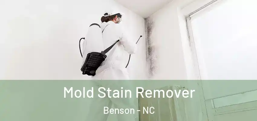  Mold Stain Remover Benson - NC