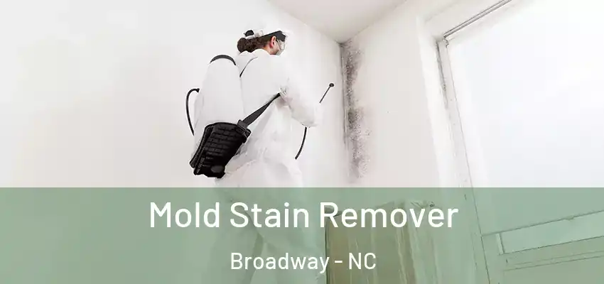 Mold Stain Remover Broadway - NC