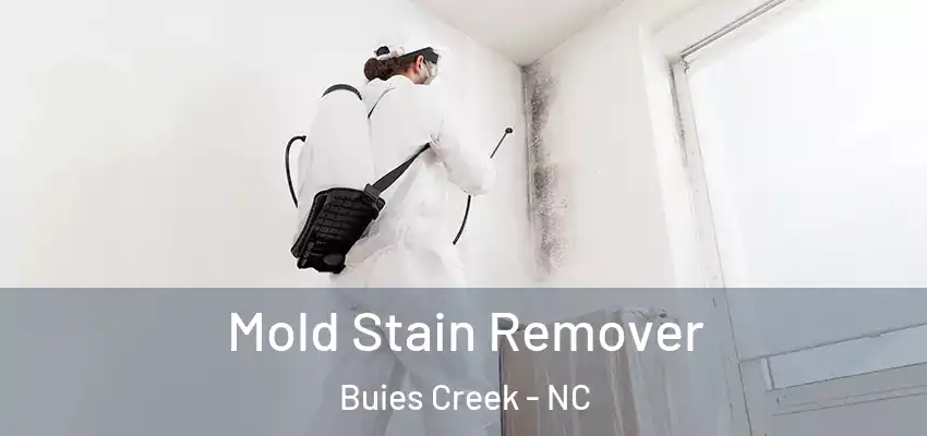  Mold Stain Remover Buies Creek - NC