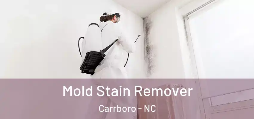  Mold Stain Remover Carrboro - NC