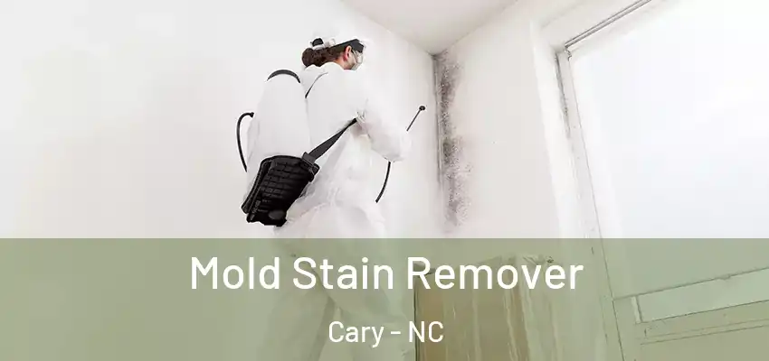  Mold Stain Remover Cary - NC