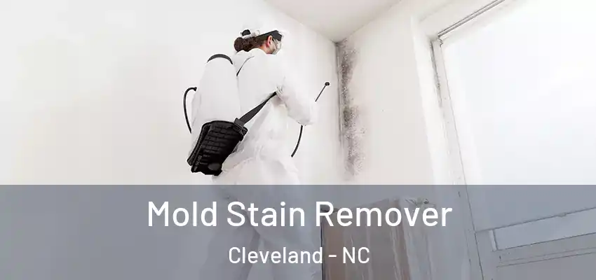  Mold Stain Remover Cleveland - NC