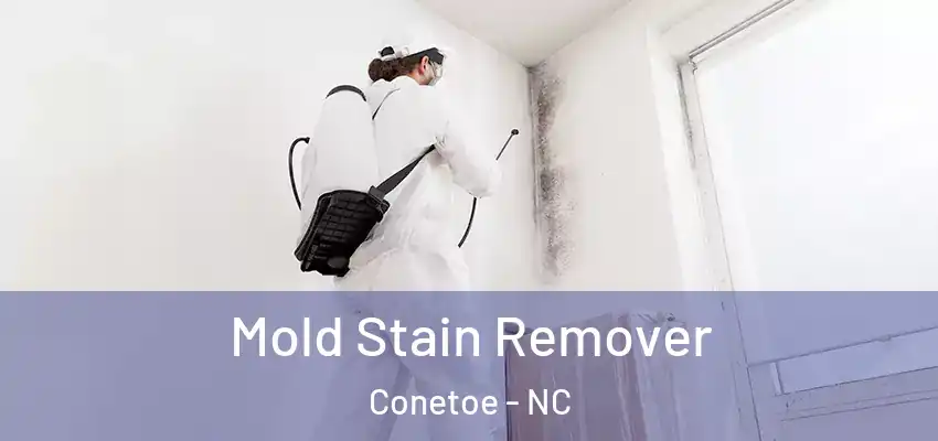  Mold Stain Remover Conetoe - NC