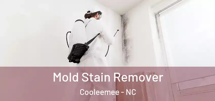  Mold Stain Remover Cooleemee - NC