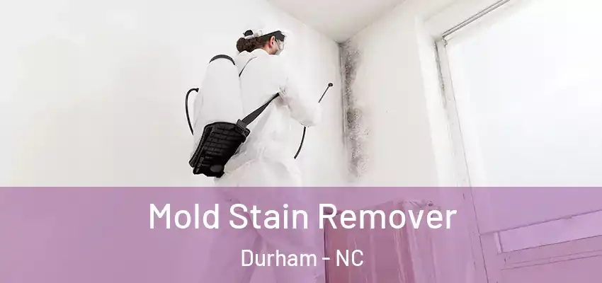  Mold Stain Remover Durham - NC