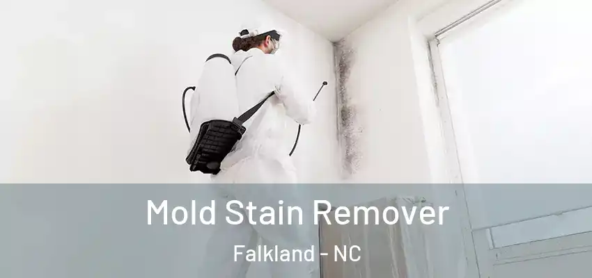  Mold Stain Remover Falkland - NC