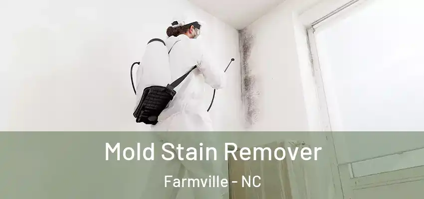  Mold Stain Remover Farmville - NC