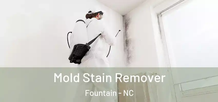  Mold Stain Remover Fountain - NC