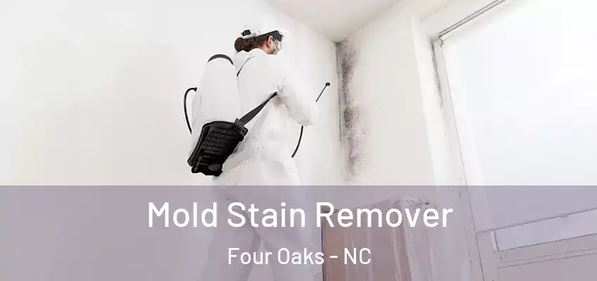 Mold Stain Remover Four Oaks - NC