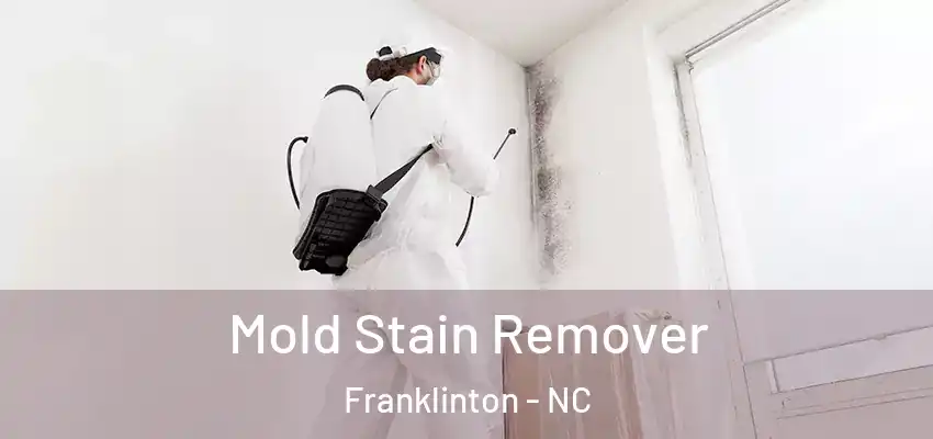 Mold Stain Remover Franklinton - NC