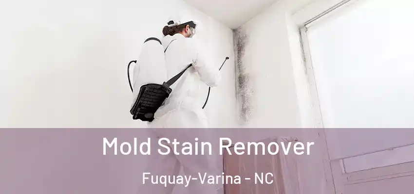  Mold Stain Remover Fuquay-Varina - NC