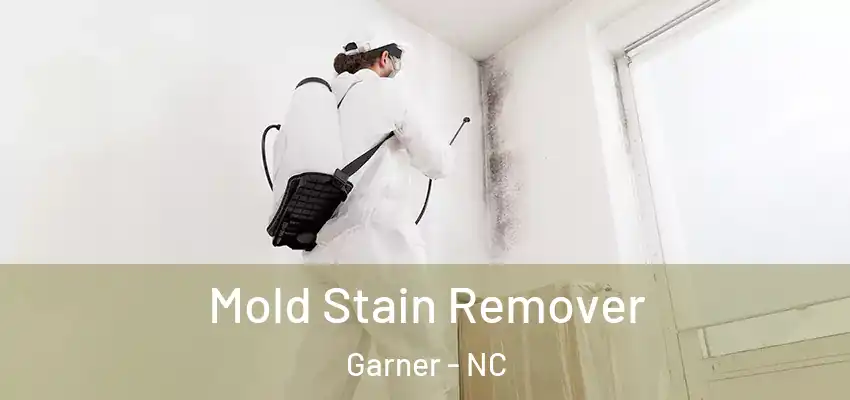  Mold Stain Remover Garner - NC
